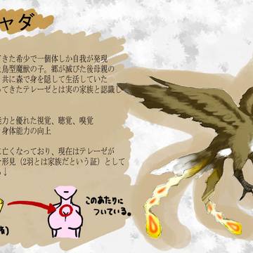 チャダの設定《改訂版》