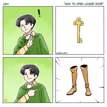 Just Levi Logic XD
