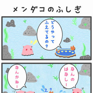 【のんびりあくありうむ】メンダコのふしぎ