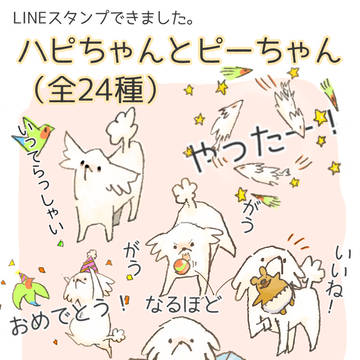 白いプードルとコザクラインコ【LINEスタンプ】