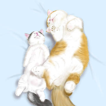 猫の昼寝