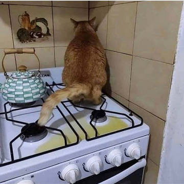 piss on da sink