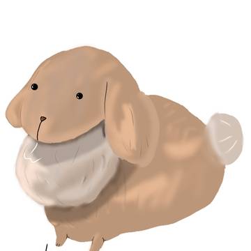 うさぎ