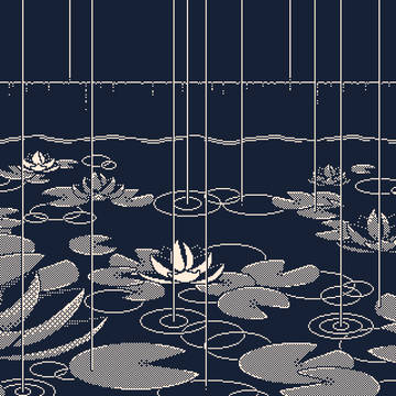 雨池 / Rain pond