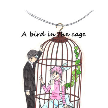 A bird in the cage