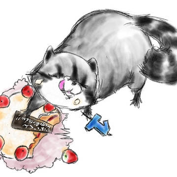 双翼の絆8 無配ペーパーあります