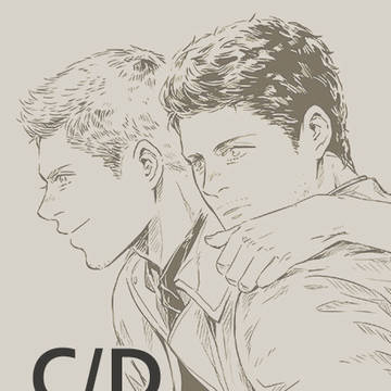 C/Dログ1