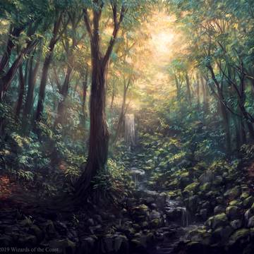Magic: The Gathering Forest M20