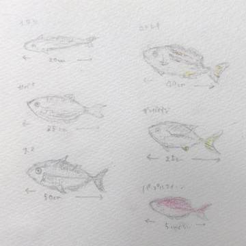 好きなさかなたち