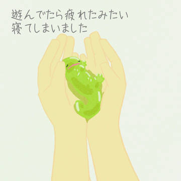 スライムオオサンショウウオのウーオくんのお昼寝