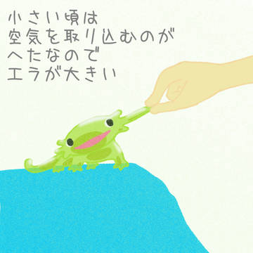 スライムオオサンショウウオのウーオくんと成長