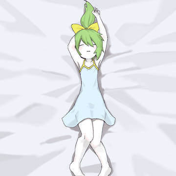 【薄着で寝るDIYUSI】