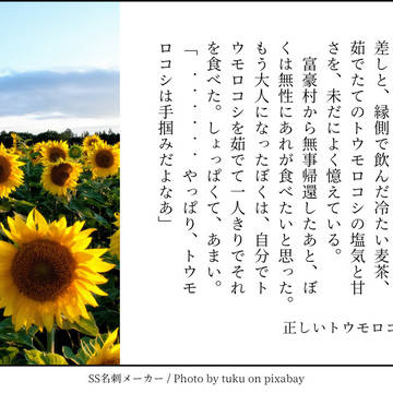 ss詰め