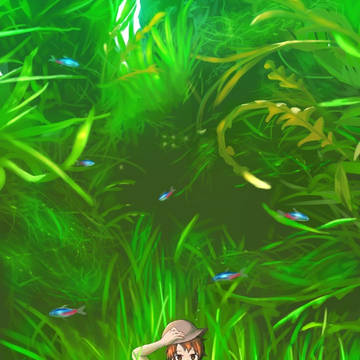 探検