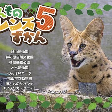 【C97】新刊サンプル ほんものフレンズずかん5