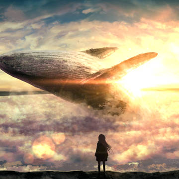 空のクジラ