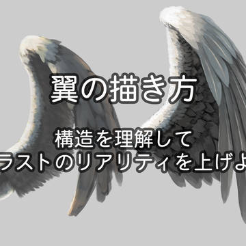翼の描き方(ちょい構造編)