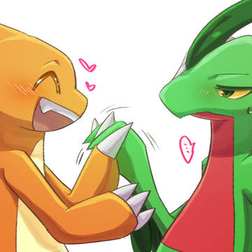 ポケモン詰め9