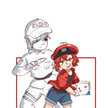 Red and White Blood Cells