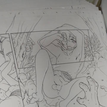 コミトレ合わせ