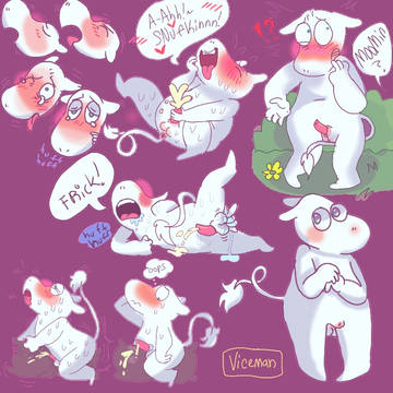 Moomin stuff