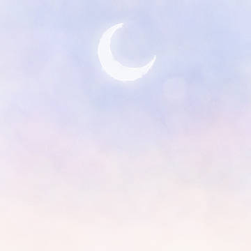 戻ってきた帽子