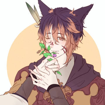 ff14整理