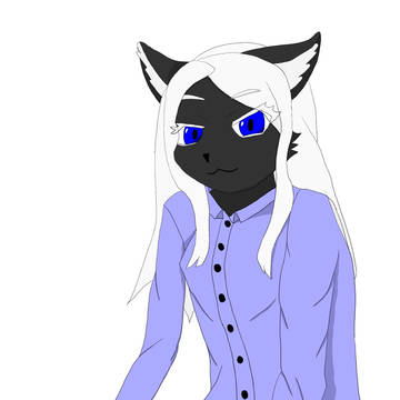 黒猫