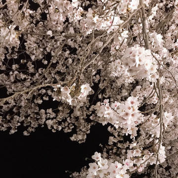 詰め合わせ
