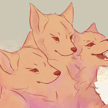 Cerberus