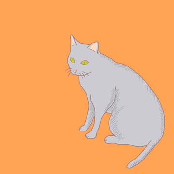 何かを考えているようで何も考えていない猫