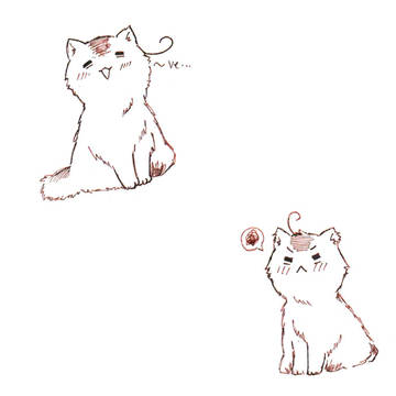 ねこタリア(*¯︶¯*)