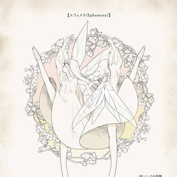 【PFAOS】エフェメラ【種族設定】