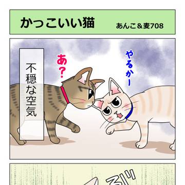 708話　かっこいい猫