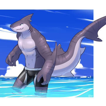 Shark