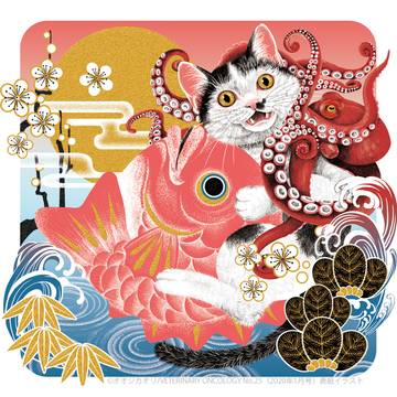 猫蛸目出鯛