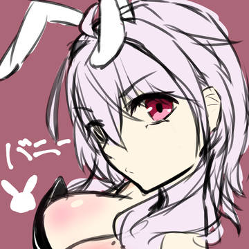 bunny