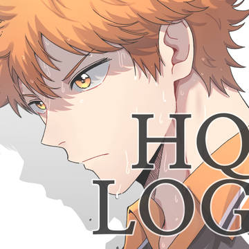 HQ LOG3