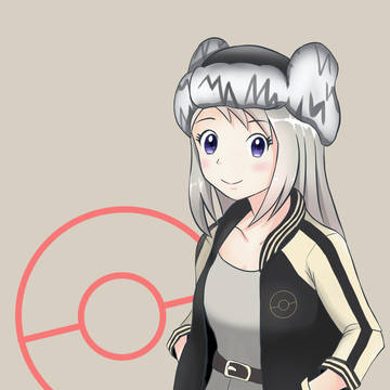 ポケモン剣盾　
