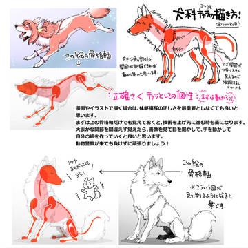 ヨツケモ犬科キャラの描き方