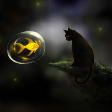 cat