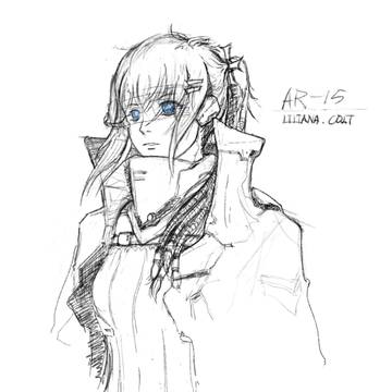 AR-15 & HK 416