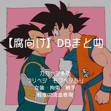 【腐】DBまとめ