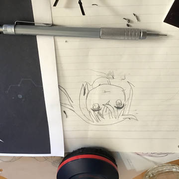 Fnc模写