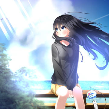一枚絵