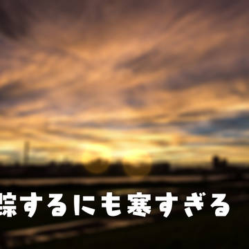 失踪するにも寒すぎる
