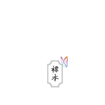 【COMITIA131サンプル】標本【サークル合同誌】