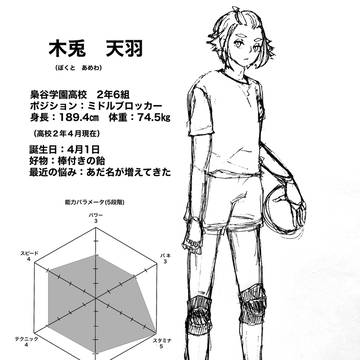 木兎天羽