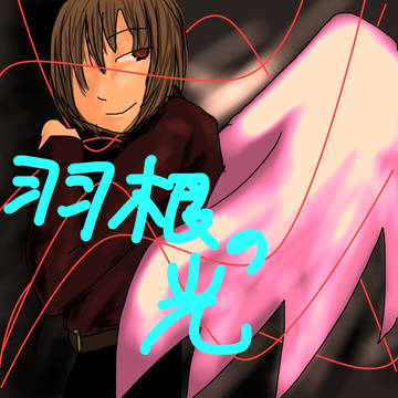 羽根の光