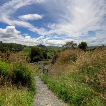 Country road